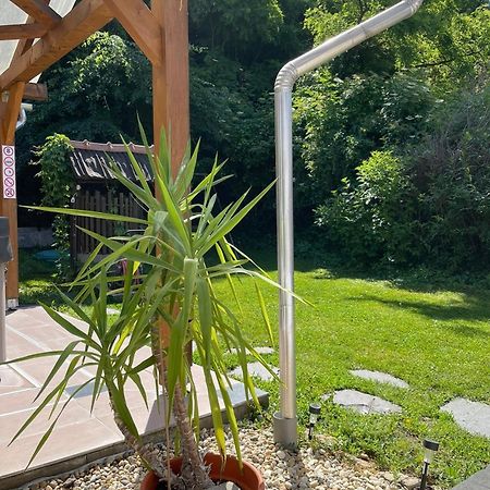 Panni Vendeghaz Hotell Egerszalók Exteriör bild