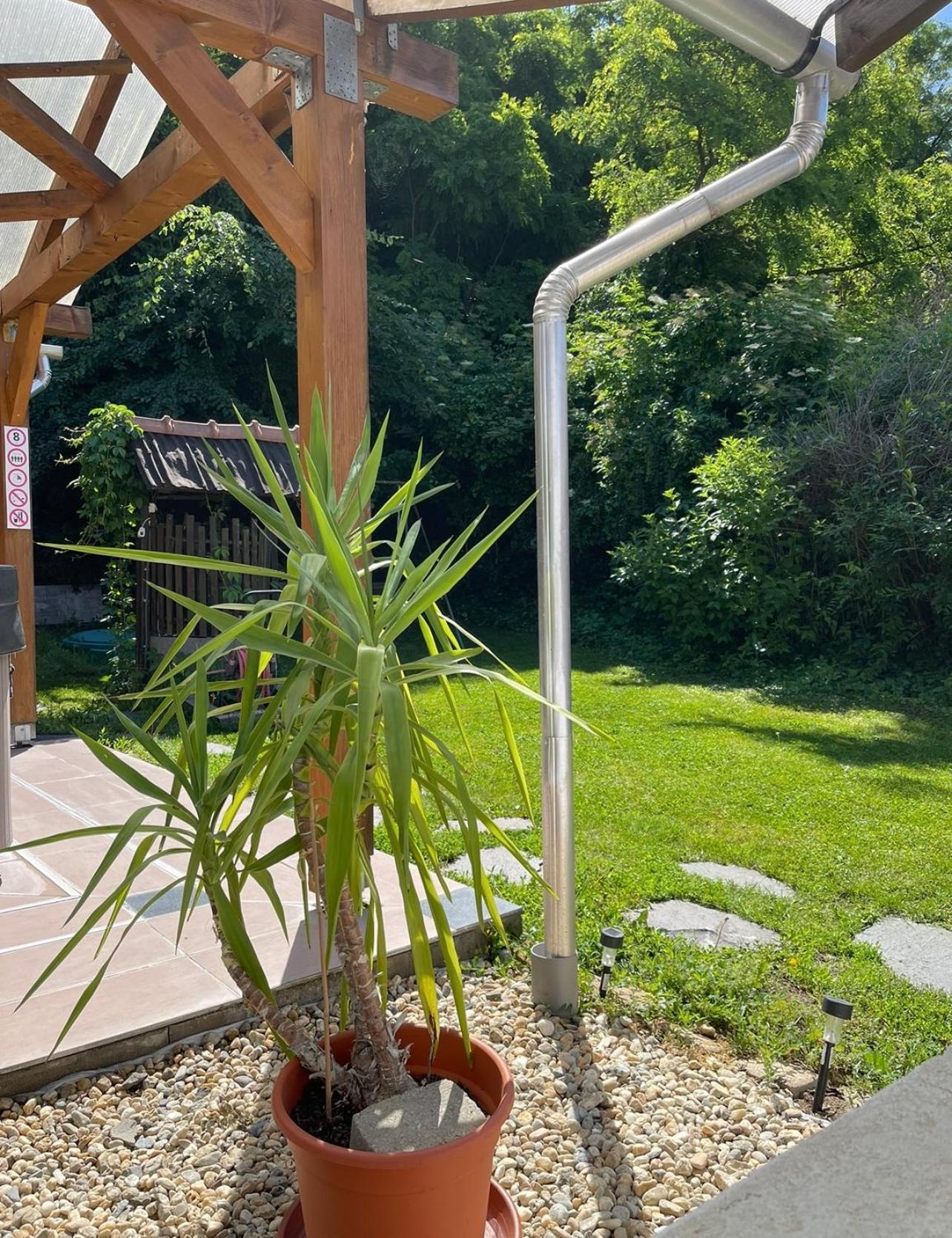 Panni Vendeghaz Hotell Egerszalók Exteriör bild